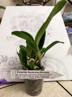 IMG20201223082556.jpg
