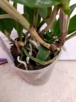 IMG20201223082618.jpg