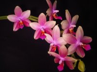 IMG_20201220_193050_1.jpg