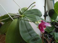 IMG_20201224_115443.jpg