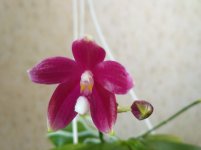 IMG_20201224_115540.jpg