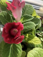 8B5D944E-1278-4CAD-89BF-B21DB5CECE09.jpeg