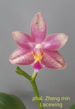 20201225_110133.jpg