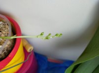 IMG20201225111335.jpg
