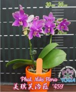 IMG-20191014-WA0010.jpg