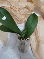 IMG_20201226_185158.jpg