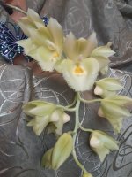 20201227_104005.jpg