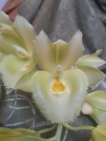 20201227_103610.jpg