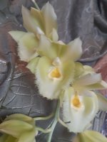 20201227_103755.jpg