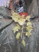20201227_103036.jpg