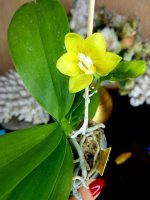 20201226_185946.jpg