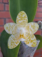 20201228_143741.jpg