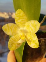 20201228_143657.jpg