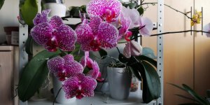 IMG_20201228_140929.jpg