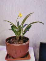 IMG_20201228_171248.jpg