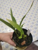 IMG_20201228_190308.jpg
