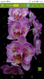 Screenshot_20200916-103048.png