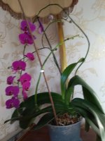 IMG_20210104_111620.jpg