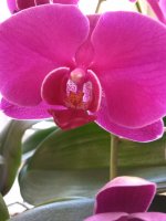 IMG_20210102_132839.jpg