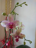IMG_20210104_110753.jpg