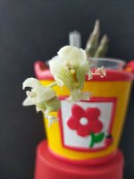 IMG20210116115931.jpg