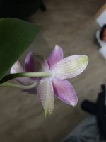 08BCA3B6-6AAC-4004-BC05-1298481D46AA.jpeg