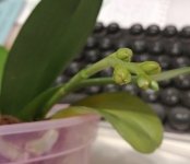 IMG_20210120_220217.jpg