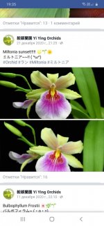 Screenshot_20210123-193552_Chrome.jpg