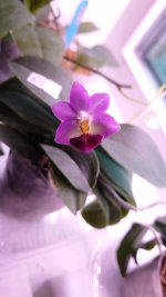DSC_4567.JPG