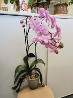 IMG_20200113_132513.jpg