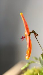 9B35DC8B-6712-4236-AAA6-2552EC3888C1.jpeg