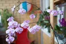 IMG_1451_small.jpg