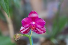 IMG_1530_small.jpg