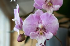 IMG_1542_small.jpg