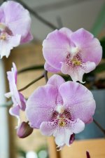 IMG_1543_small.jpg