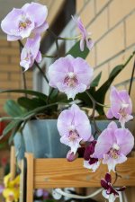 IMG_1562_small.jpg