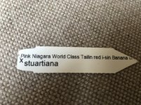 E1C9F681-6039-452A-80C8-4D5C4E171AE9.jpeg