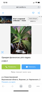 DE9B91FC-D4A9-4745-A4AC-A34C3C2CA4B7.png