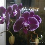 IMG-96fbb350167de05d7b6ada0b40be7b4c-V.jpg