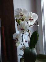 IMG_20210203_084354.jpg