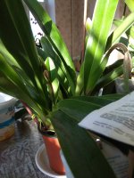 IMG_20210203_095615.jpg