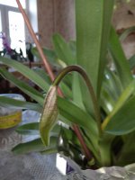 IMG_20210203_114254.jpg