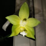 IMG_20201202_213326_217.jpg