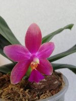 IMG_20200817_165234.jpg