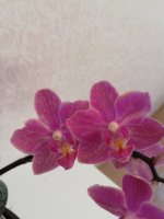 IMG_20210203_134922.jpg