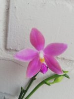 IMG_20210126_134625.jpg