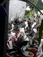 20210131_153224.jpg