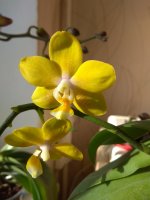 IMG_20210204_100830.jpg