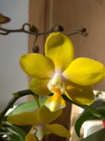 IMG_20210204_101050.jpg
