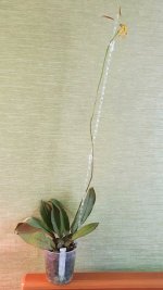 20210202_180808.jpg